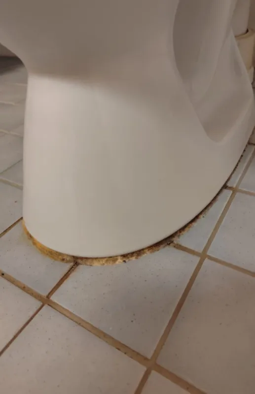 WC-istuimen silikonisauma ennen uusintaa.